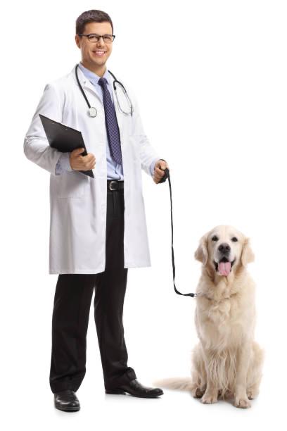 Diagnovet veterinary path lab