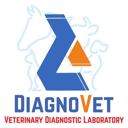 DiagnoVet Lab